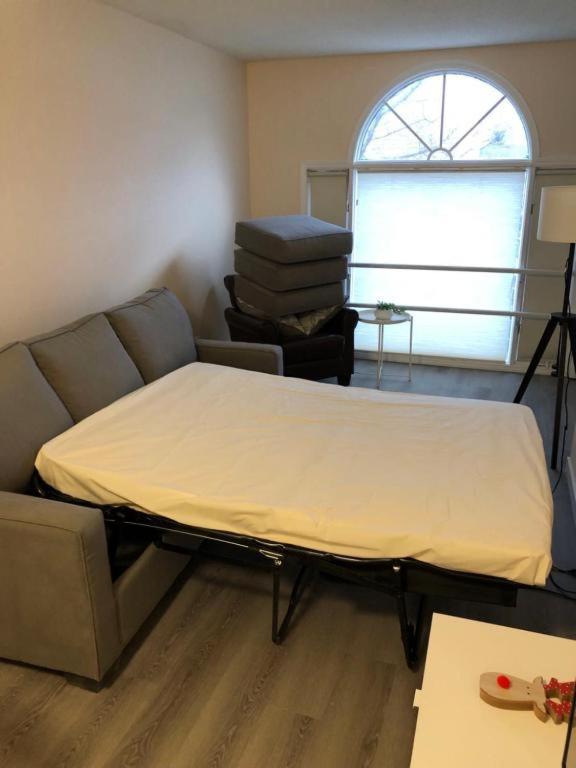 #202 Cozy Mountain View 2 Bedrooms In Dt *